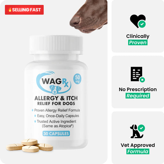 Cyclosporine Chewable Tablets (WagLabs™)